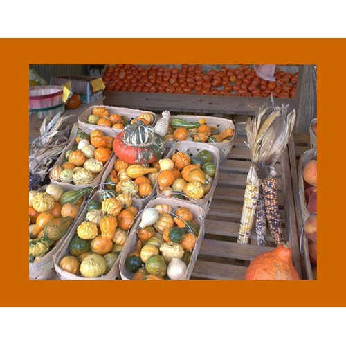 French Market Winter Squash invitation