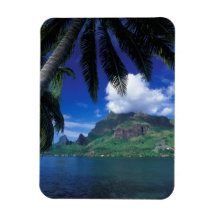 French Polynesia, Moorea. Cooks Bay. Green Magnets