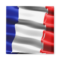 French Pride Fridge Magnet