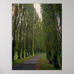 French Road posters