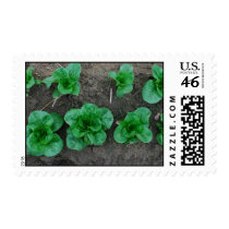 French Romaine postage