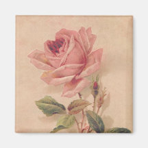 French Victorian Pink Rose Refrigerator Magnets