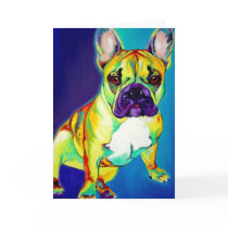 Frenchie #2 cards