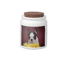 Frenchie - French bulldog puppy Candy Jars