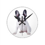 Frenchie - French bulldog puppy Clocks