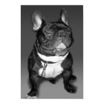 Frenchie Smile posters