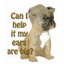 Frenchy Bulldog t-shirts