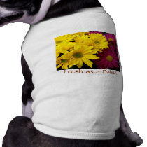 "Fresh as a Daisy" pet clothing by CaroleArt "Fresh as a Daisy" pet clothing