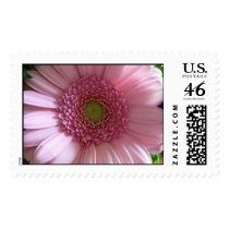 Fresh as a Daisy stamp