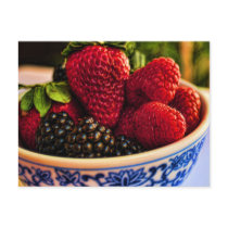 Fresh Berries Postcard