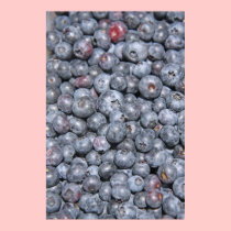 Fresh Blueberries on Canvas Vertical Print posters