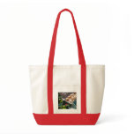 Fresh Brown Eggs Market Tote Bag