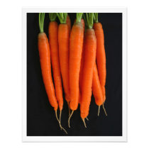 Fresh Carrots Photograph