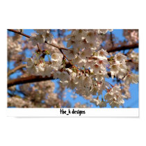 fresh cherries posters by king060 fresh cherries posters