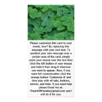 Fresh Clover Green Leafs Photo Card