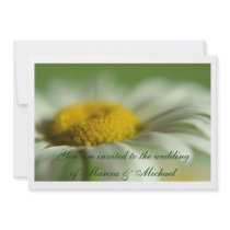 Fresh Daisy Personalized Announcement
