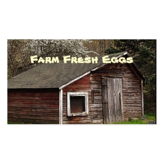 Fresh Eggs Business Card