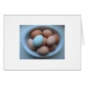 fresh eggs cards