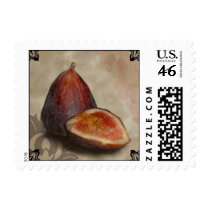 Fresh Fig Postage Stamps