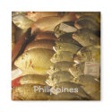 Fresh fish magnet