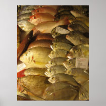 Fresh fish posters