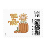 Fresh From Pumpkin Patch Baby Announcement Stamp