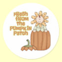 Fresh From Pumpkin Patch Baby Announcement stickers