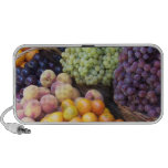 Fresh Fruit Doodle Speaker