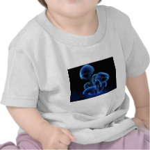 Fresh, Funky, Fashionable, Retro, Cool Shirts