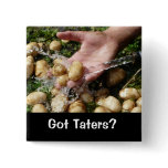 Fresh Garden Potatoes Getting Washed buttons