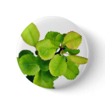 Fresh Green Leaves On White Background buttons