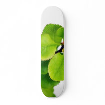Fresh Green Leaves On White Background skateboards by lifesphere Fresh Green Leaves On White Background skateboards