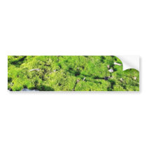 Fresh Green Moss With Some Stones Around. bumper stickers