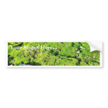 Fresh Green Moss With Some Stones Around. bumper stickers