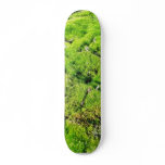 Fresh Green Moss With Some Stones Around. Skate Deck
