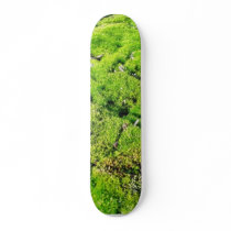 Fresh Green Moss With Some Stones Around. skateboards