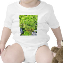 Fresh Green Moss With Some Stones Around. t-shirts