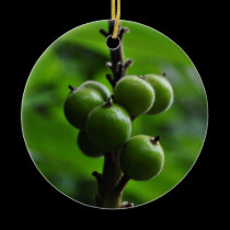 Fresh Green Nature ornaments