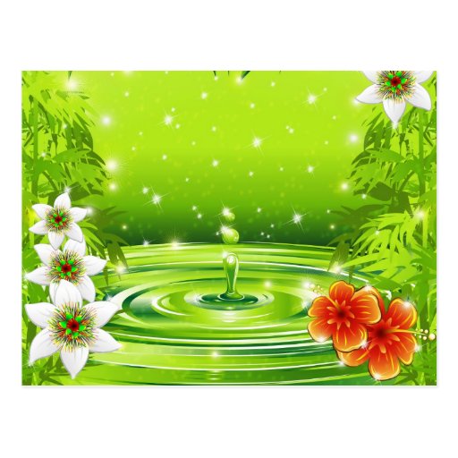 Fresh Green Water Bamboo and Tropical Flowers  Pos Post Cards