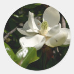 Fresh Magnolia Bloom Round Sticker
