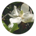 Fresh Magnolia Bloom stickers by White_Wedding Fresh Magnolia Bloom stickers