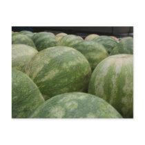 Fresh Melons postcards