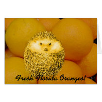 Fresh Orange Hedgehog cards by matdaddy Fresh Orange Hedgehog cards