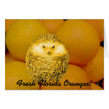 Fresh Orange Hedgehog Greeting Card