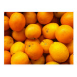 Fresh Oranges Postcard