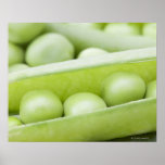 Fresh organic peas posters
