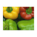 Fresh Peppers II (13 x 13) postcards