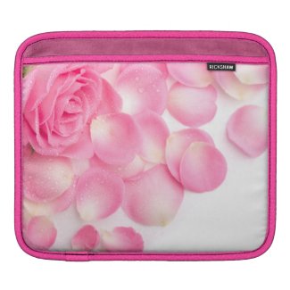 fresh pink rose petals rickshawsleeve