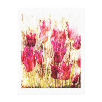 fresh pink tulips artistic canvas print