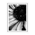 Fresh posters by QuietDog_Images Fresh posters